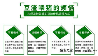 精選益生菌發酵豆渣 科學飼喂保障豬只健康與高效遠程管理